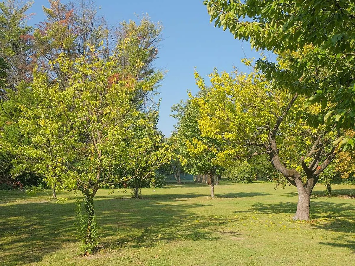 Montjoia Bed & Breakfast L'Isle-sur-la-Sorgue France