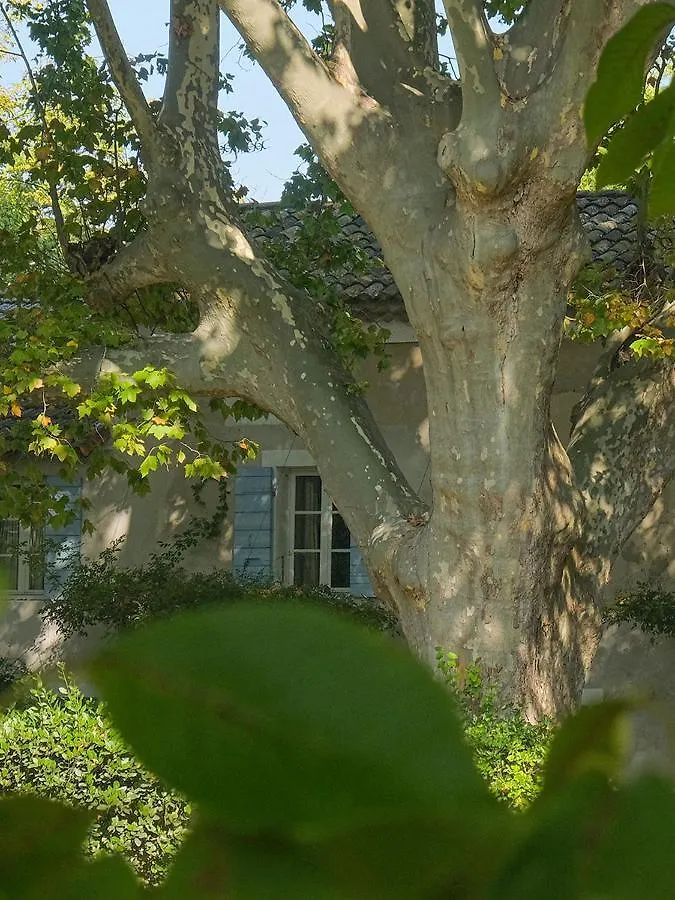 Montjoia Bed & Breakfast L'Isle-sur-la-Sorgue