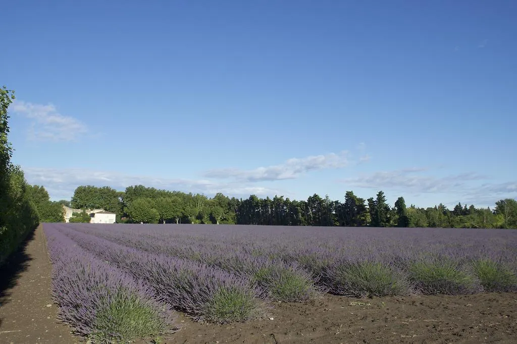 Montjoia Bed & Breakfast L'Isle-sur-la-Sorgue France